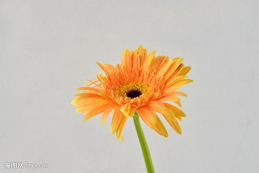研精静虑