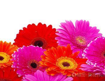 桃花潭水