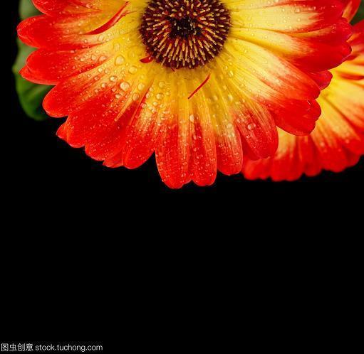 招权纳赇