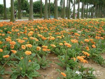 泰来否往
