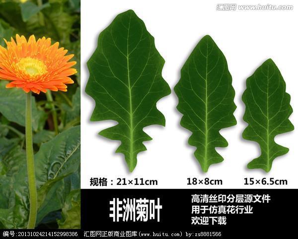 刻舟求剑