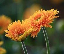 蜎飞蠕动