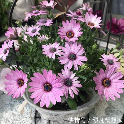 纹风不动