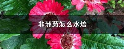 彻上彻下