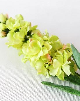 褒善贬恶