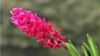 叠见层出