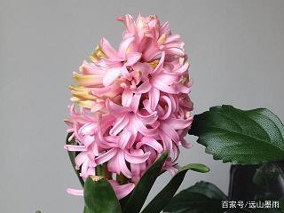 怀念以前的时光的短句大全