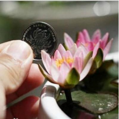 挂冠求去
