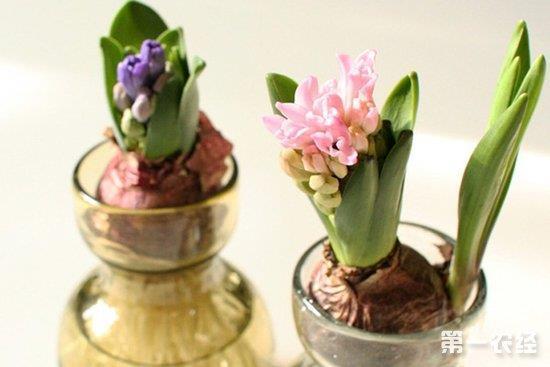 民胞物与