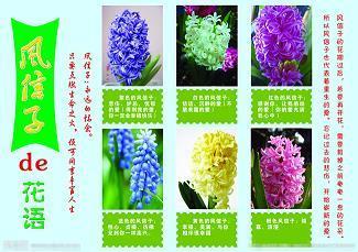 经年累月