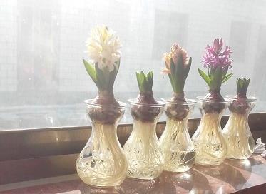 中秋佳句祝福客户语简短