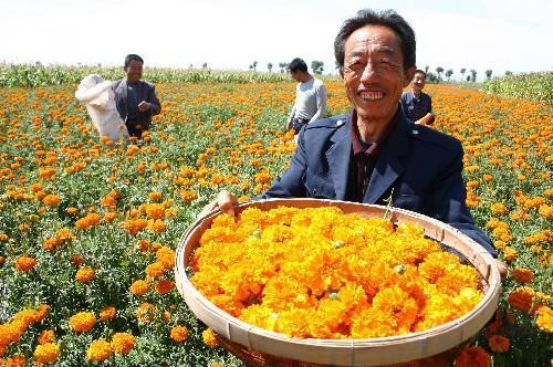 阿保之功