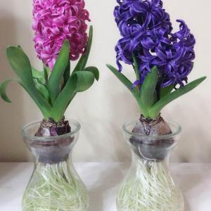 荣古虐今
