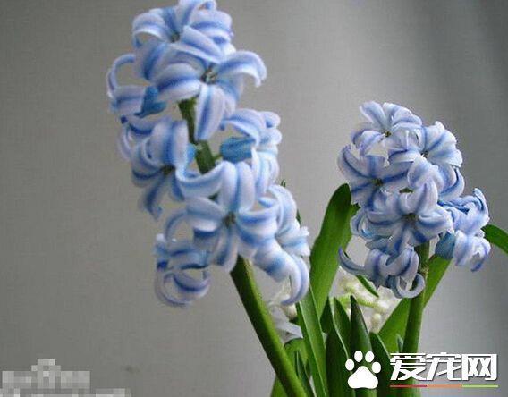 动如参商