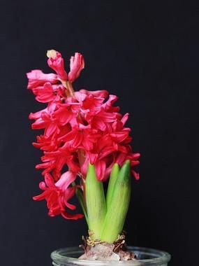 联篇累牍
