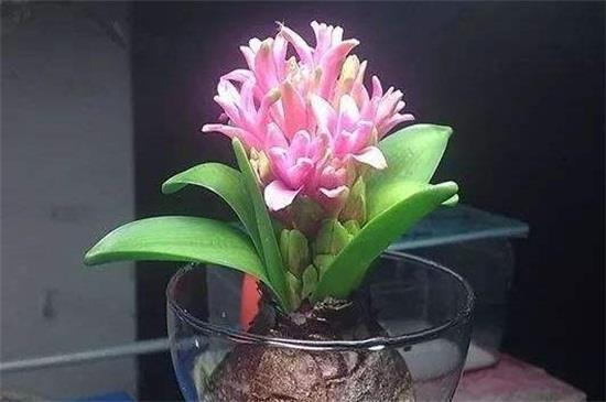薰风解愠