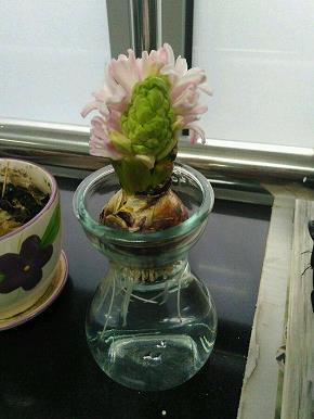 卑鄙龌龊