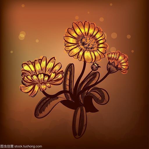 智者千虑，必有一失