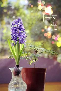 威仪孔时