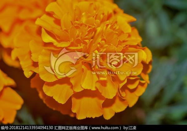 内疚神明