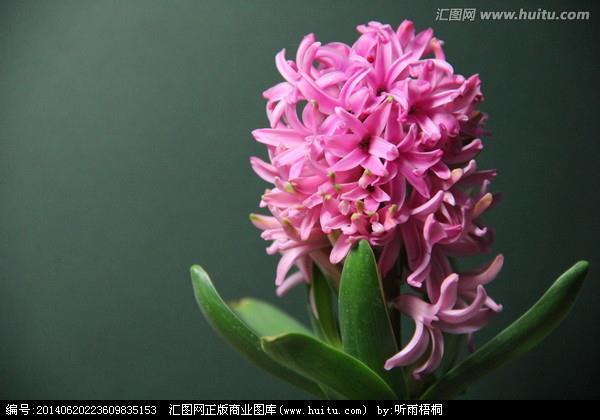 称薪量水