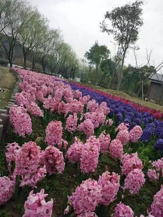 趋吉逃凶
