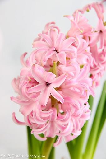 守节不移