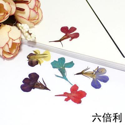 求道于盲