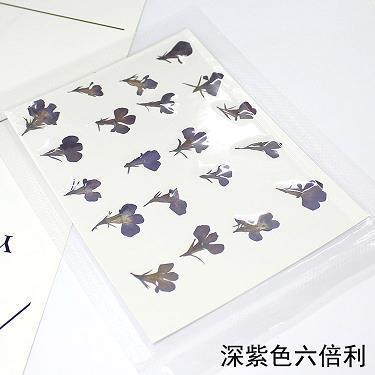 十日并出