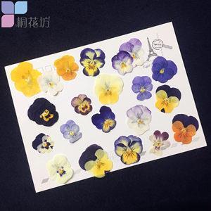 老枢能解