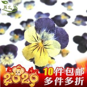 语不惊人