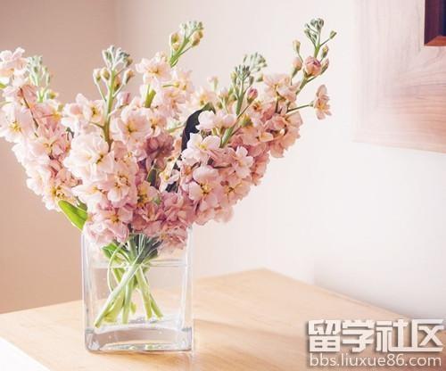 能言善道