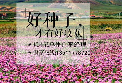 谨谢不敏