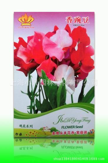 矫情的说说短语摘抄40句