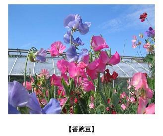 通同一气