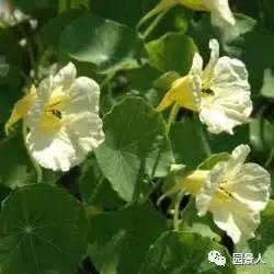 超世绝伦