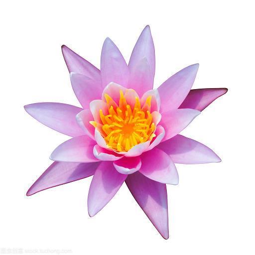 雕肝琢膂