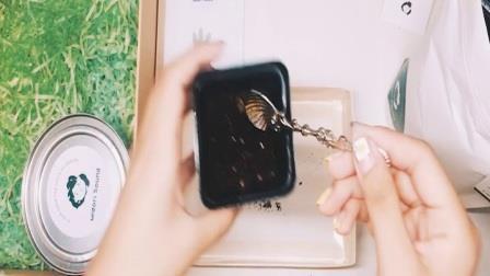 蹑屩担簦