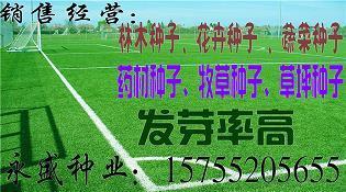 耳红面赤