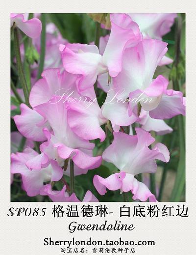 拿贼见赃