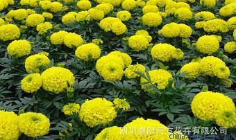 心累失望的个性签名