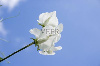 水泄不透