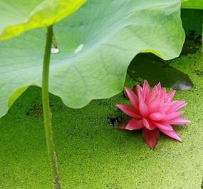 天翻地覆