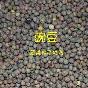 议论蜂起