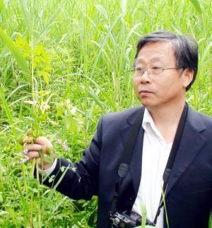 夸女生美丽的经典句子