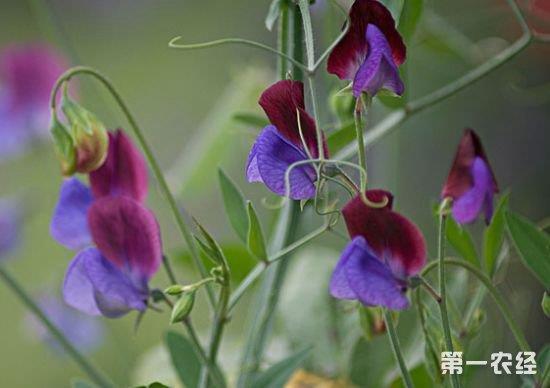 愚人节伤感个性签名