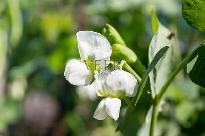 发朋友圈的晚安句子正能量_深夜致自己的说说(精选60句)