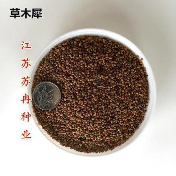 怀念过去的爱情的说说(48句)