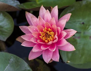 抱宝怀珍
