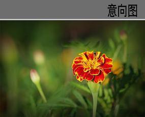 正谏不讳